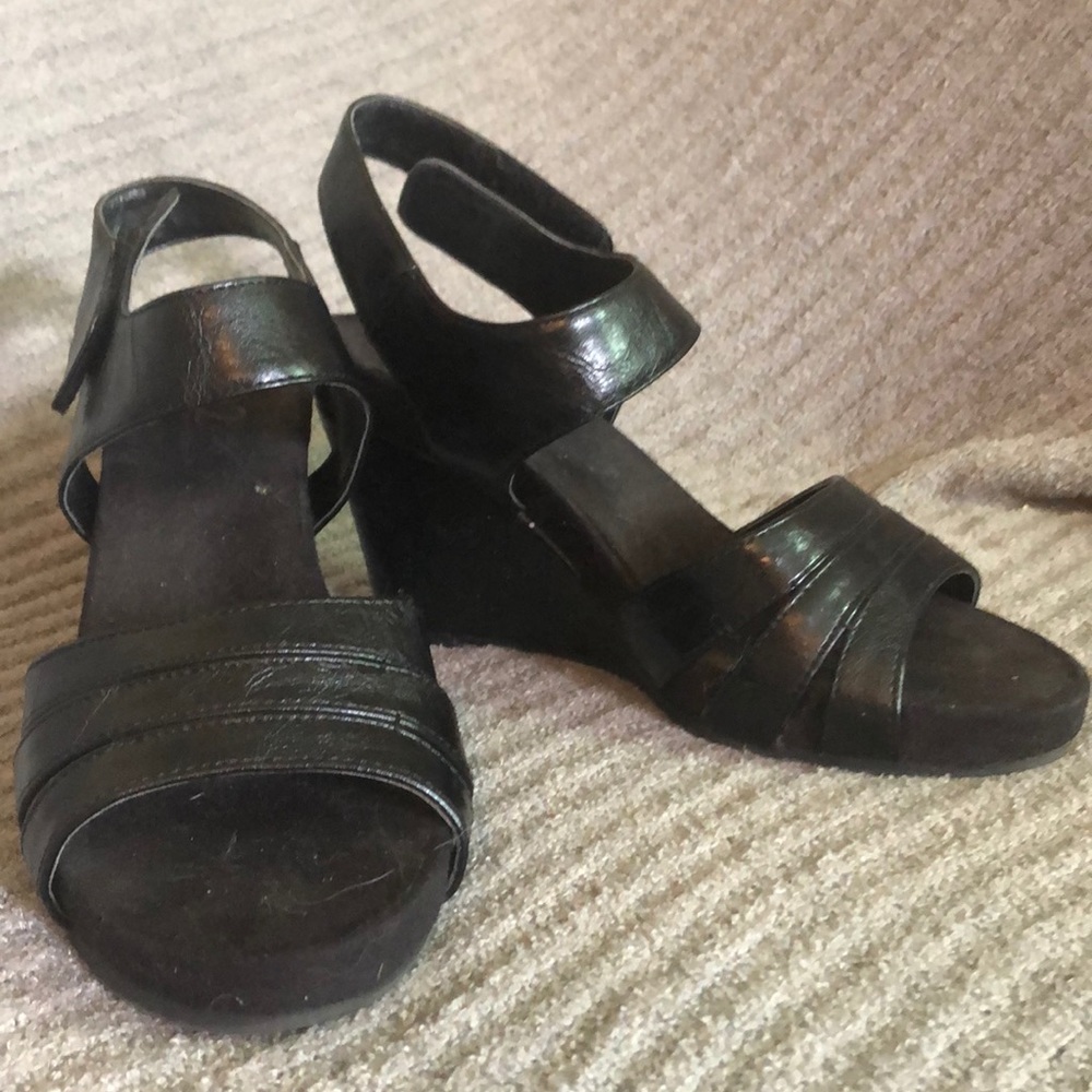 Black a2 aerosols wedge